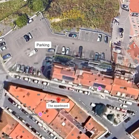 The Slow * Лиссабон