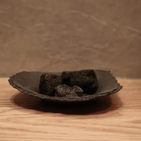 The Slow Appartement *